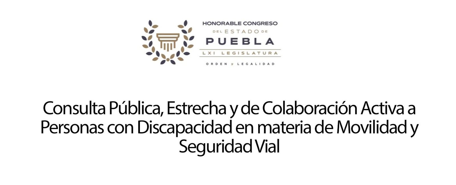 Consulta pública, estrecha y de colaboración activa a personas con discapacidad en materia de movilidad y seguridad vial