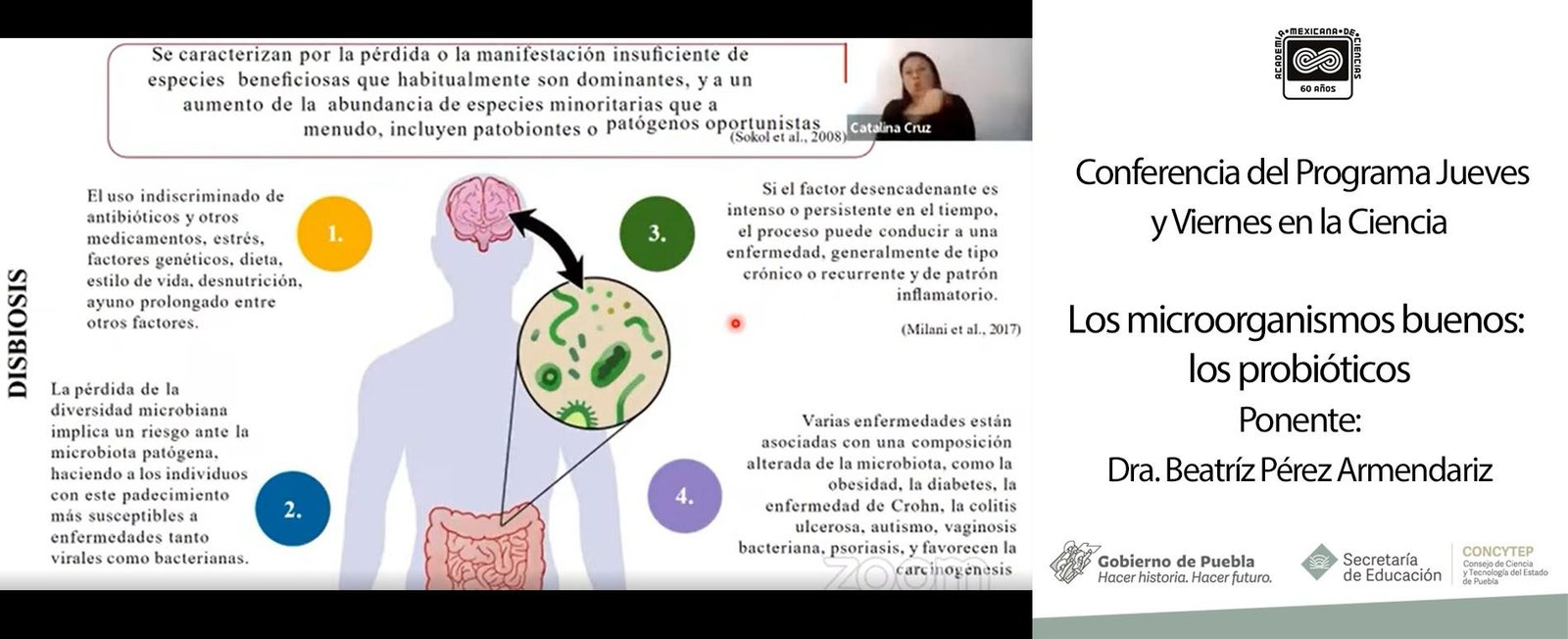 Conferencia: Los microorganismos buenos: los probióticos