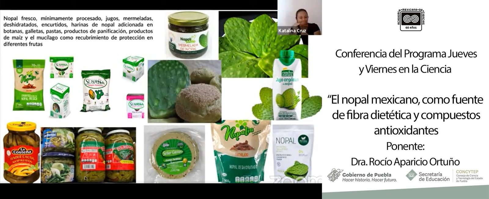 Conferencia: El nopal mexicano, como fuente de fibra dietética y compuestos antioxidantes